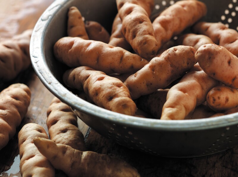 Картофель дикий Аня, Wild potatoes fingers Anya, 10 клубней