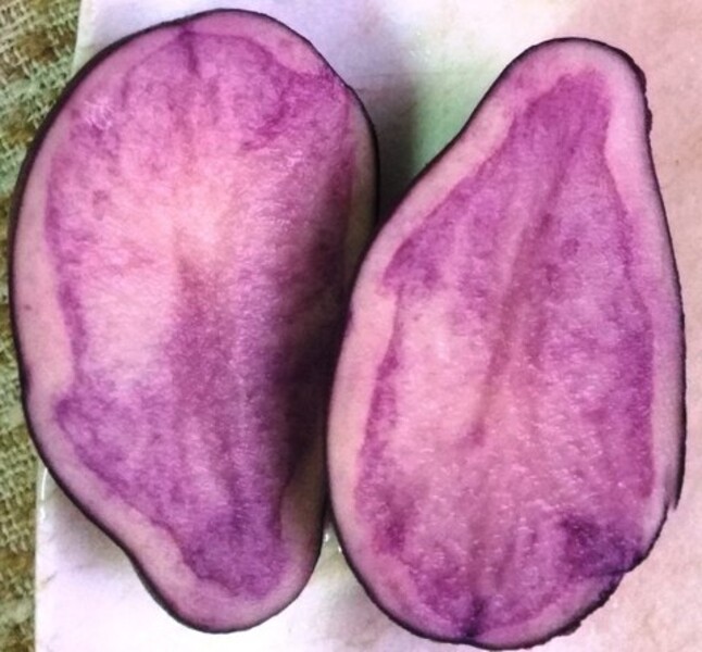 Картофель фиолетовый Purple Congo, 10 клубней