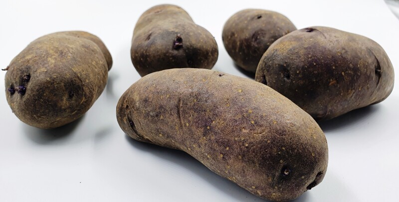 Картофель Голубой Дунай, Blue Danube potatoes