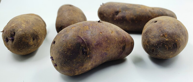 Картофель Голубой Дунай, Blue Danube potatoes