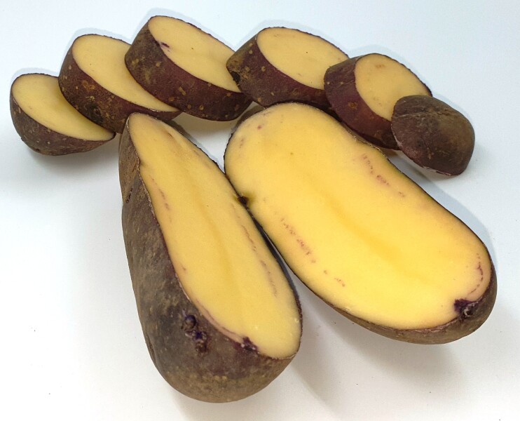 Картофель Голубой Дунай, Blue Danube potatoes
