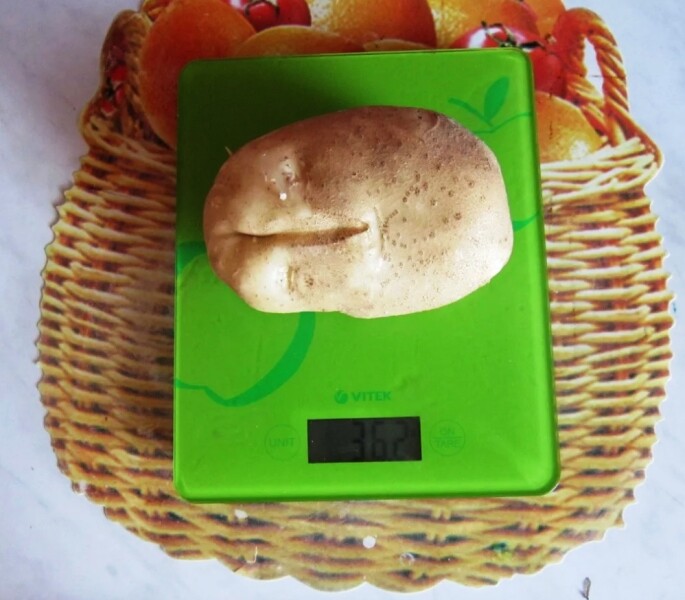 Картофель Сынок (Богатырь), 1 кг